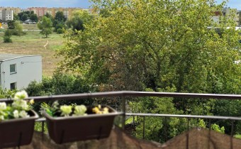 -loggia-